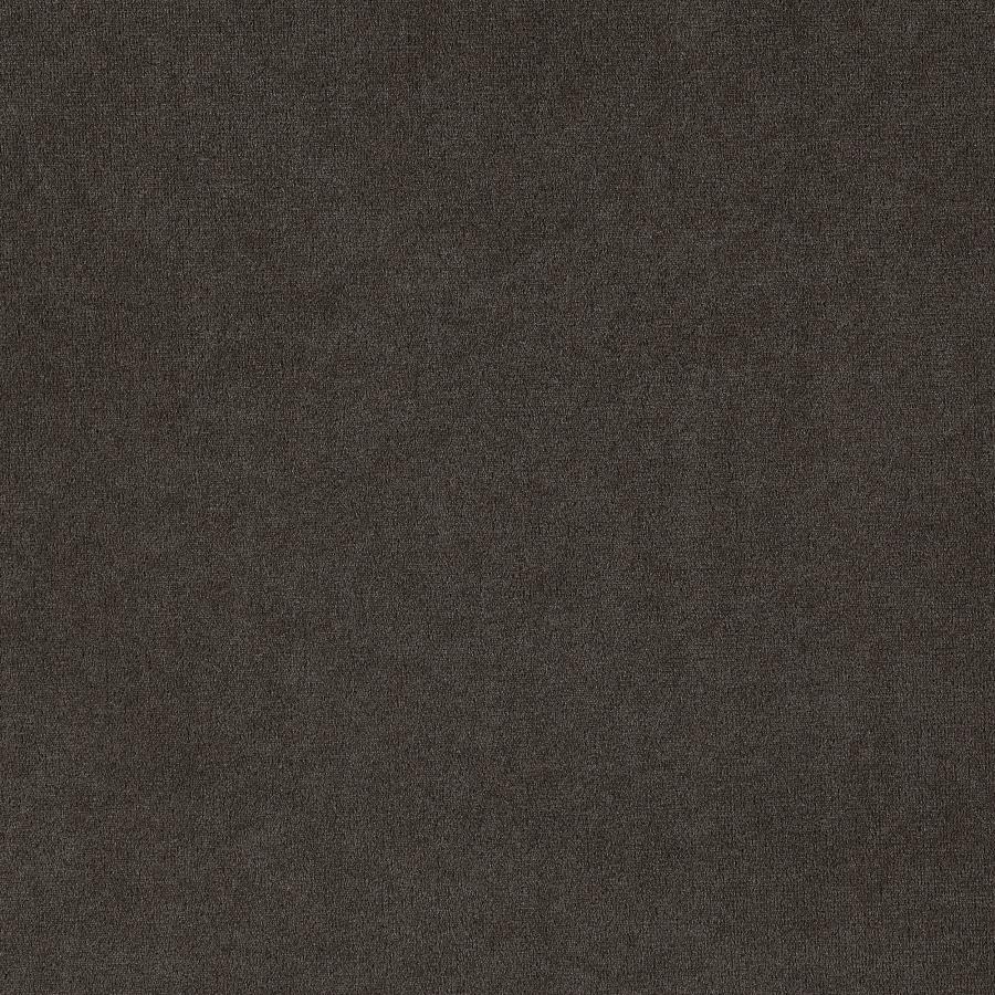 Alana Velvet Upholstered Dining Side Chair Brown (Set of 2)