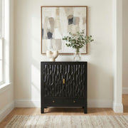 Obsidian 2 Door Accent Cabinet