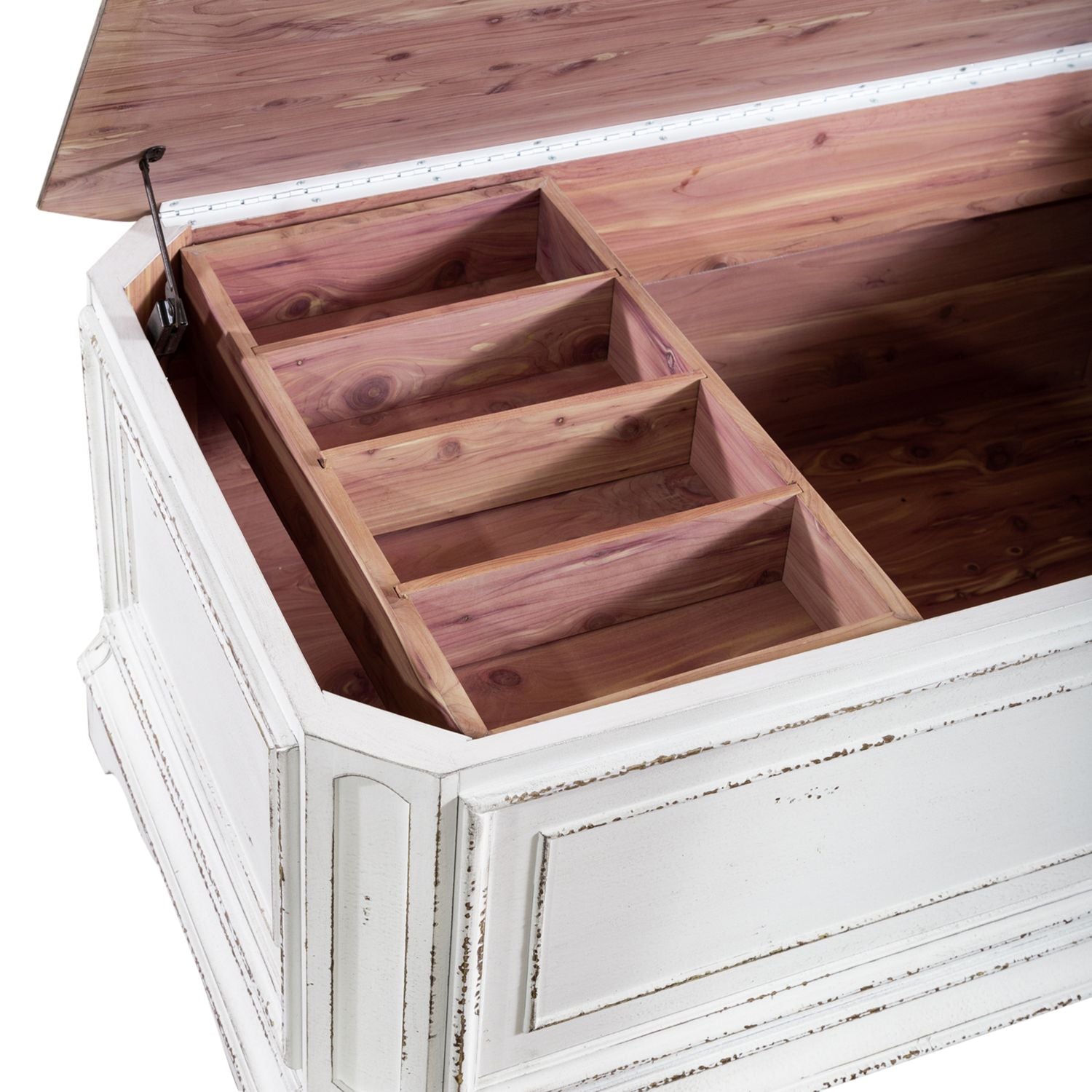 Magnolia Manor Storage Trunk