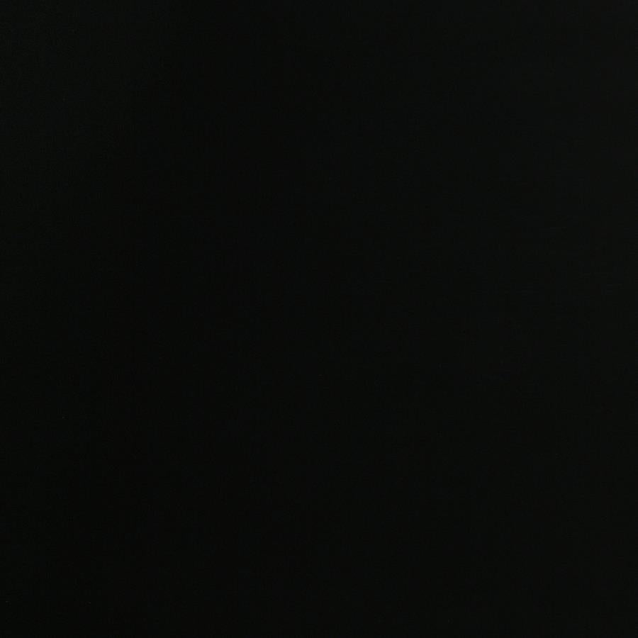 Delgado Windsor Twin Wood Daybed with Trundle Black