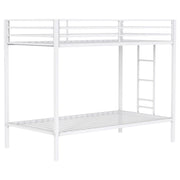 Alevera Twin-Over-Twin Steel Bunk Bed with Ladder Matte White