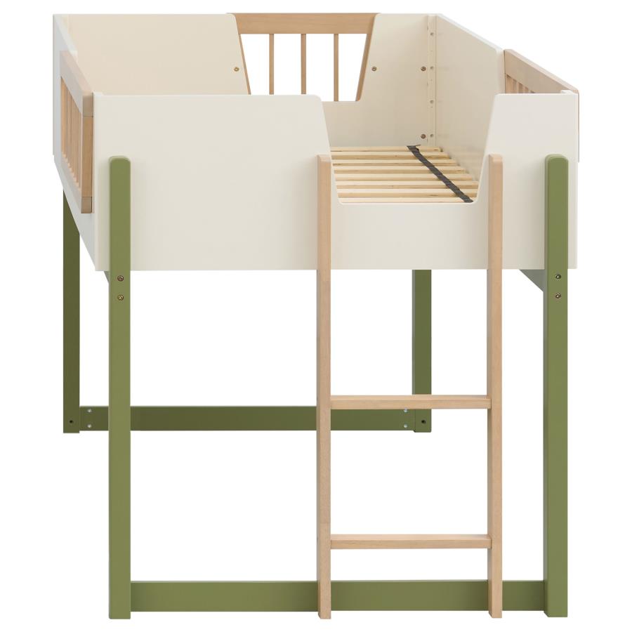 Evren Twin Loft Bed with Ladder Tri-Tone