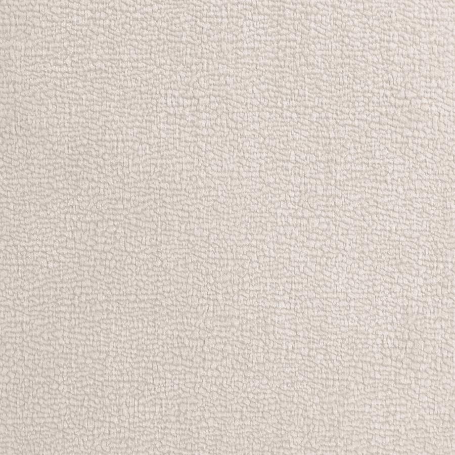 Eskola 2-Piece Chenille Sofa and Accent Chair Set Ivory