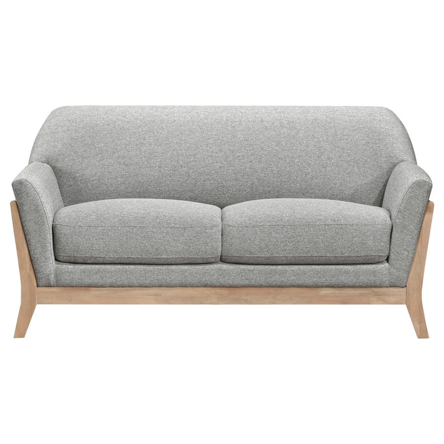 Vaughn 2-piece Fabric Upholstered Flared Arm Sofa Set Grey