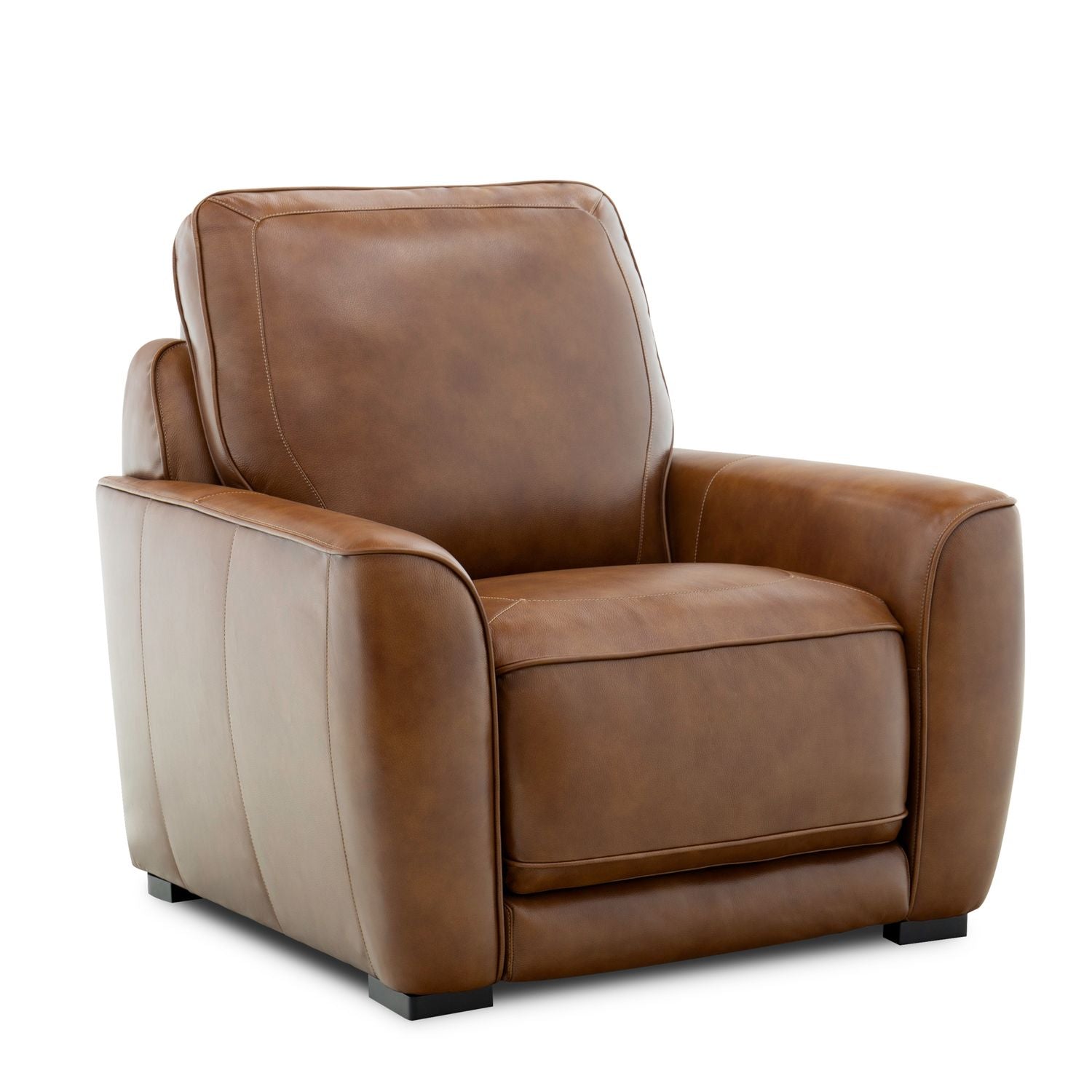 Blake Dual Power Recliner