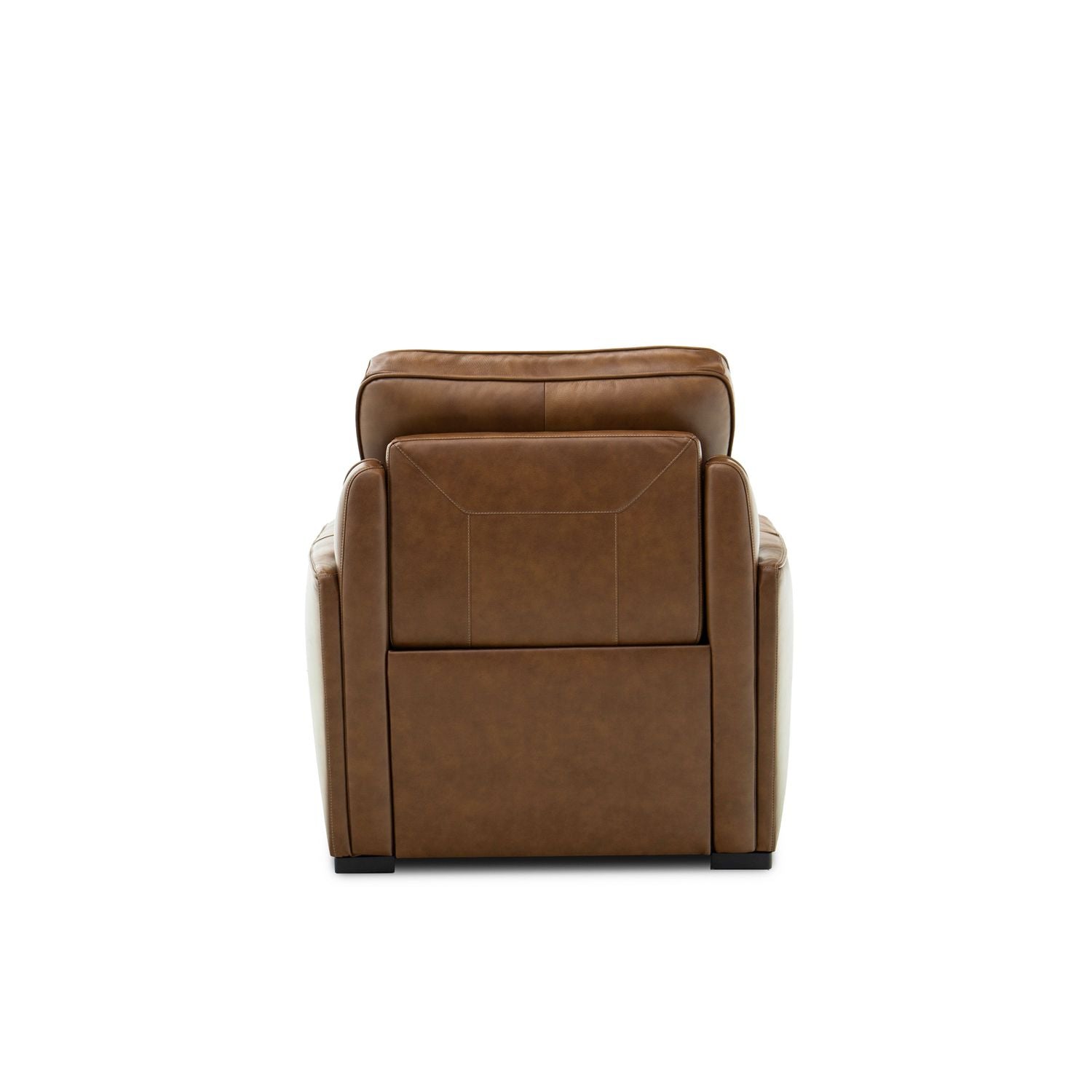 Blake Dual Power Recliner