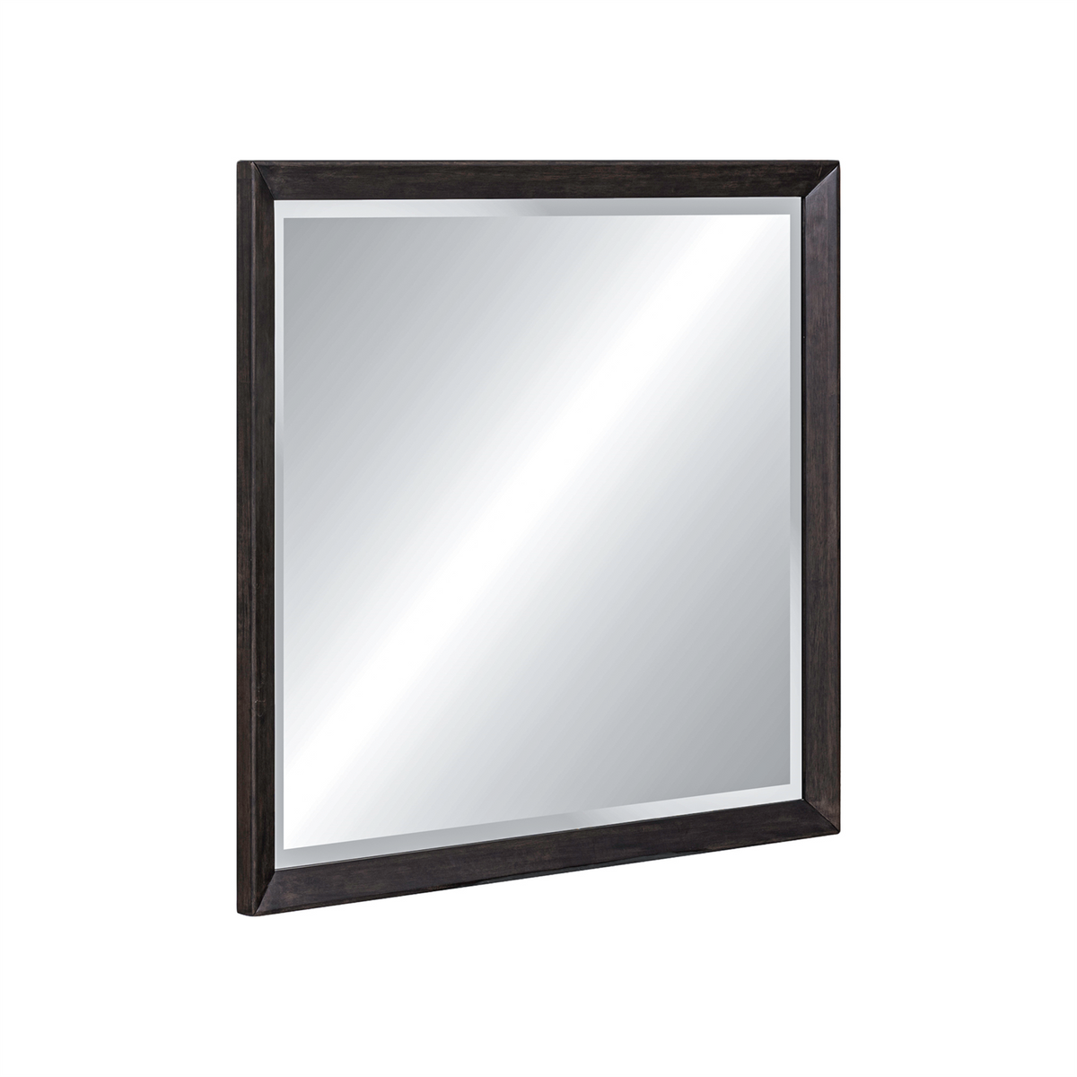 Century Modern Landscape Mirror
