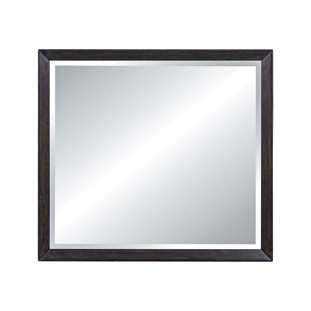 Century Modern Landscape Mirror
