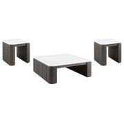 Lior 3-Piece Square Marble Top Coffee and End Table Set Charcoal