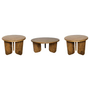 Dale 3-Piece Round Mango Wood Coffee and End Table Set Honey Mango