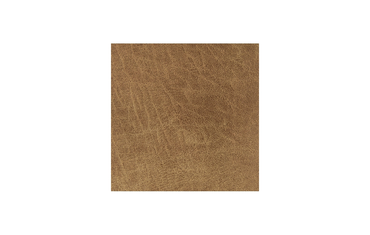 Cortnie Pillow (Set of 4)