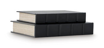 Samwell Box (Set of 2)