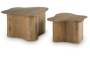 Abeford Accent Coffee Table (Set of 2)