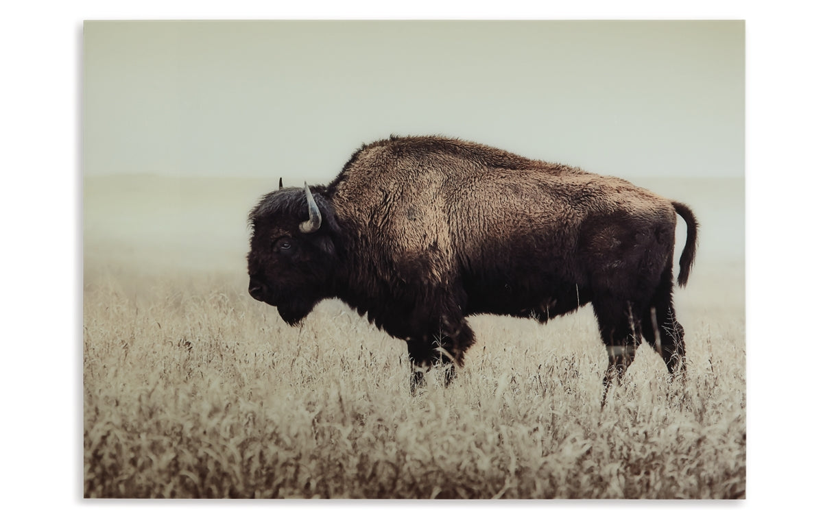 Brutus Wall Art
