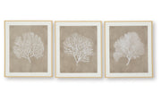 Hendridge Wall Art (Set of 3)