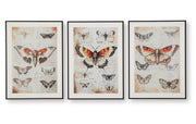 Jossletts Wall Art (Set of 3)