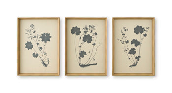 Huddwick Wall Art (Set of 3)