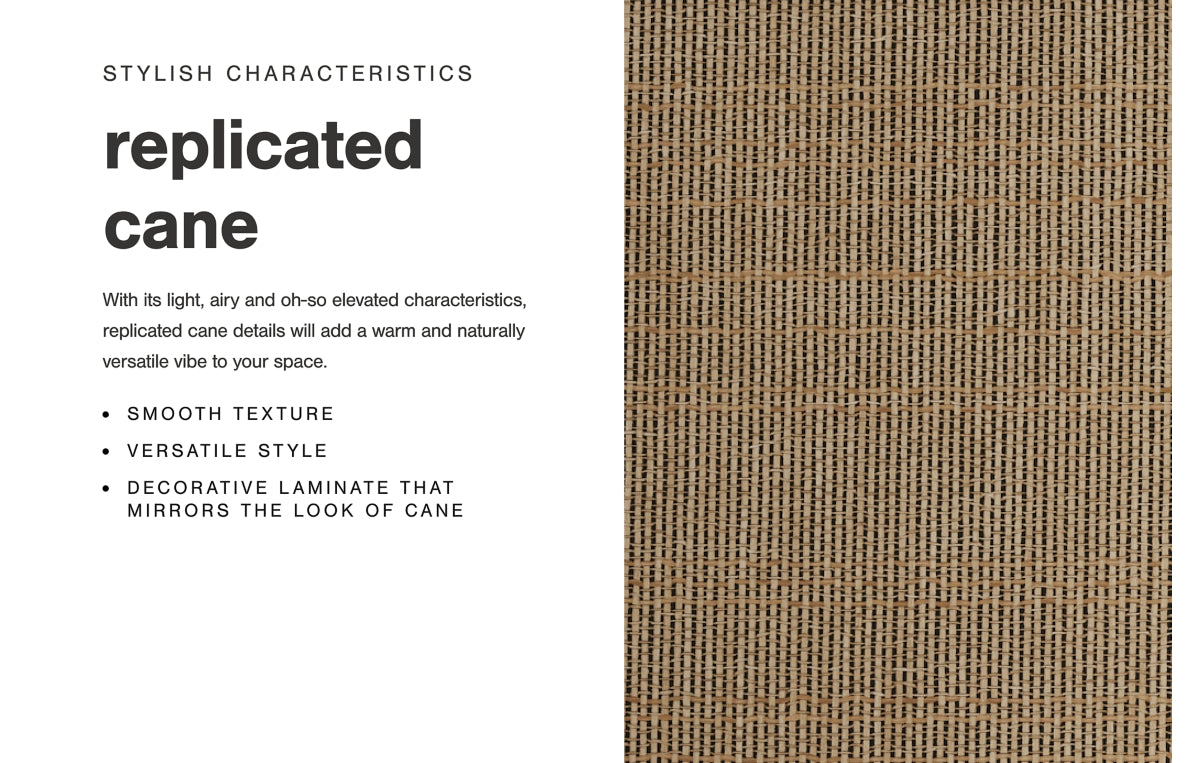 Cielden King Panel Bed with Mirrored Dresser and Nightstand