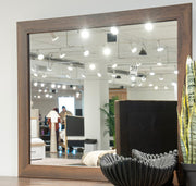Janfyn Bedroom Mirror