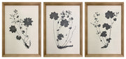 Huddwick Wall Art (Set of 3)