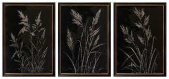 Janisburg Wall Art (Set of 3)